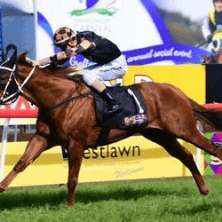 Dubawi Sniper